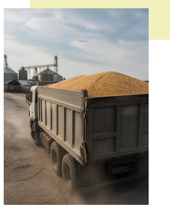 Перевозка сельхозпродукции навалом в Дальнереченск по цене от 3057 р. | Агросервис-Длн